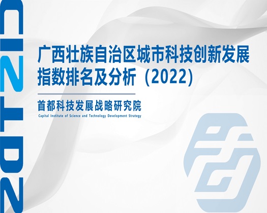 “免费操逼网络”【成果发布】广西壮族自治区城市科技创新发展指数排名及分析（2022）